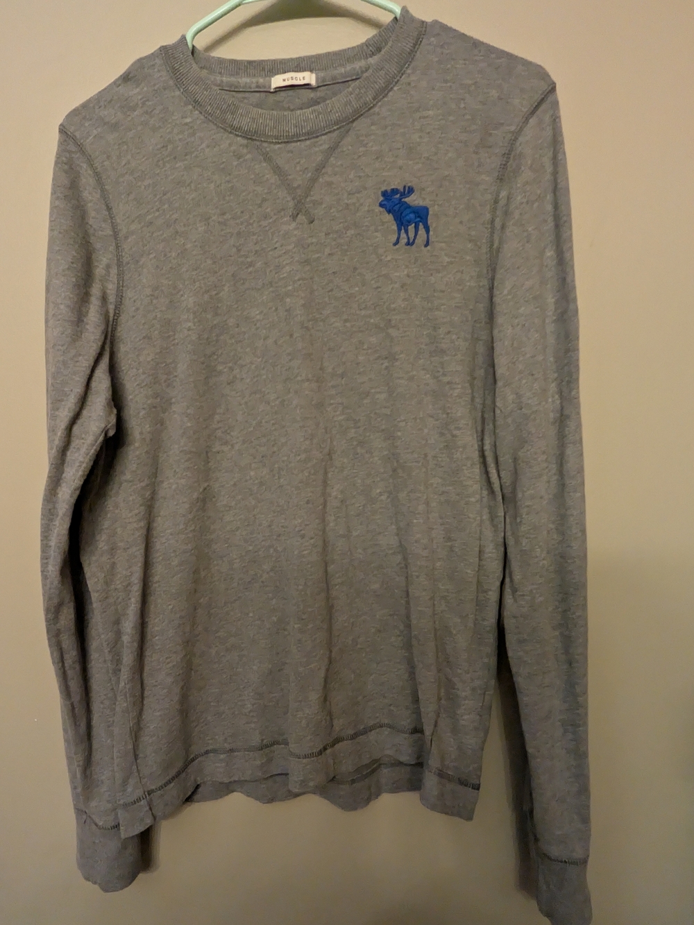 Abercrombie & Fitch Gray Long Sleeve Crew Neck Shirt